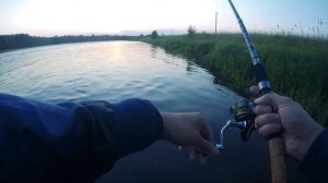 Рыбалка на мушку бомбардой (сбирулино) на реке Нарова.