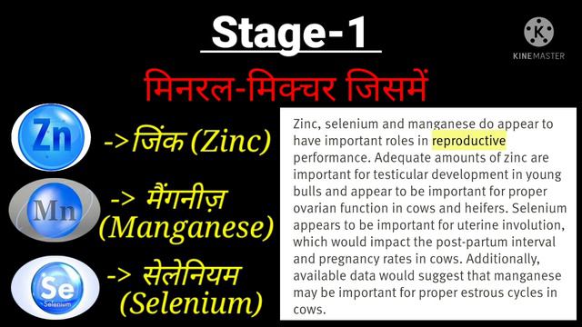 #गाय-भैंस के लिए बेस्ट मिनरल-मिक्चर#Best Mineral- Mixture for cattle смотреть онлайн