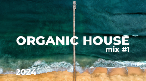 Organic House Mix #1 2024 by Carey Q