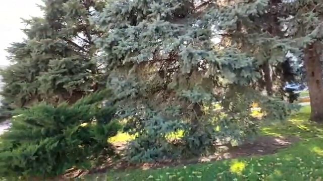 Как много тех, с кем можно лечь в постель... #стихотворение, Эдуард Асадов смотреть онлайн