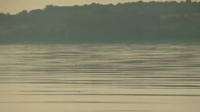 Троллинг на Волге. смотреть онлайн