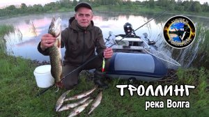 Троллинг. Какой воблер выбрать?