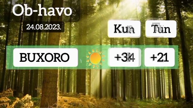 ob-havo malumotlari 24-avgust kuniga. ob-havo xabarlari O'zbekiston смотреть онлайн