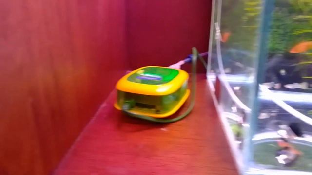 Я больше не покупаю аквариумные распылители. смотреть онлайн