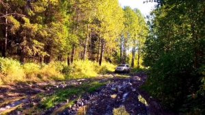 Прадо 120 на русском бездорожье!