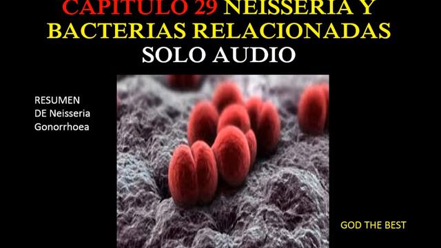 NEISSERIA Y BACTERIAS RELACIONADAS смотреть онлайн