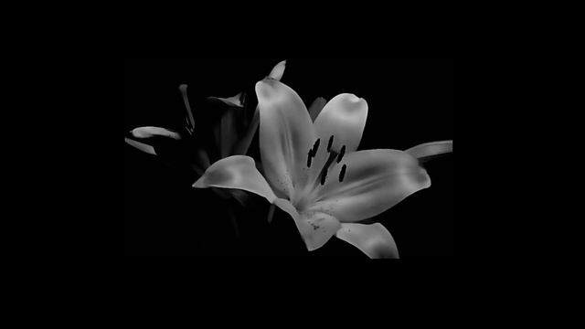 anazed — и я (slowed) смотреть онлайн
