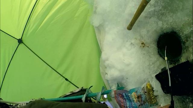 БЕШЕННЫЙ КЛЕВ ПЛОТВЫ СОРОЖКА ЗИМОЙ В МОРОЗ НА МОРМЫШКУ ЧАСТЬ 1 смотреть онлайн