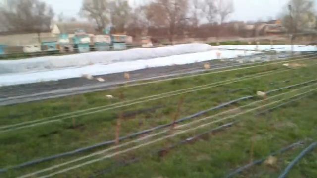 Клубника и Малина 2 смотреть онлайн