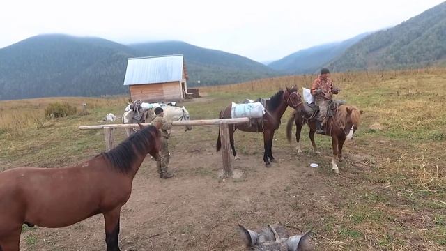 На Конях Горными тропами Алтая часть-1 смотреть онлайн