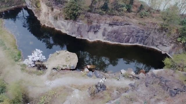 Dance Of The Phoenix 且听凤鸣 EP17：Feng Wu slept during the class, Jun Lin Yuan going to punish her ? смотреть онлайн