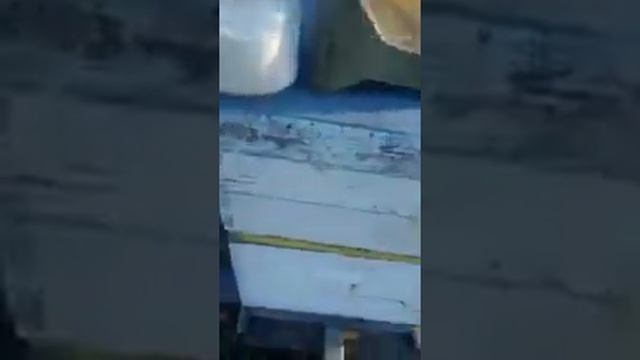 Сублиматор щавелевой кислоты (Аргентина) смотреть онлайн