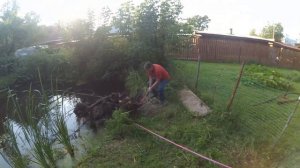 Тест: Рычажная лебедка MATRIX.  Вытаскиваем корень