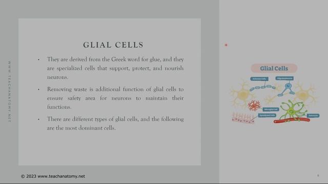 Neural Cells смотреть онлайн