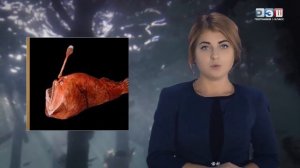 Жизнь в Океане и на суше