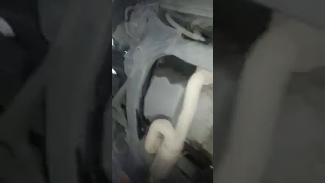 Хонда элизион проблема с приводом смотреть онлайн