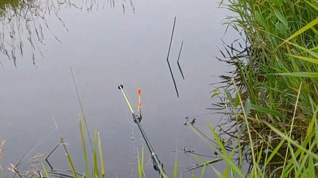 рыбалка на реке Малой истре смотреть онлайн