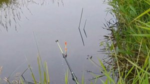 рыбалка на  реке Малой истре