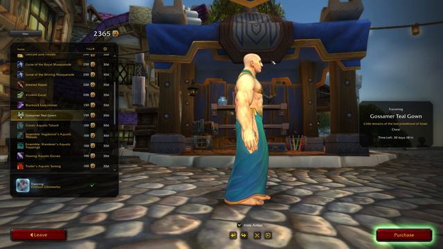 EVERYTHING Coming to the Trading Post in March 2024 | World of Warcraft смотреть онлайн
