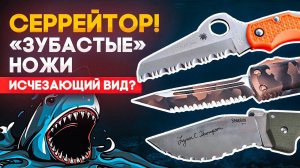 Серрейтор: зачем нужен серрейторный нож? | Серрейторная заточка во всех подробностях
