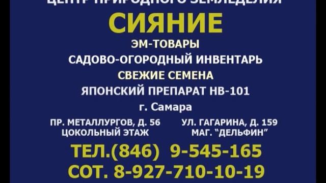 Дачные советы 22.11.2012 смотреть онлайн