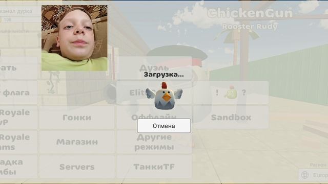 Chicken Gun