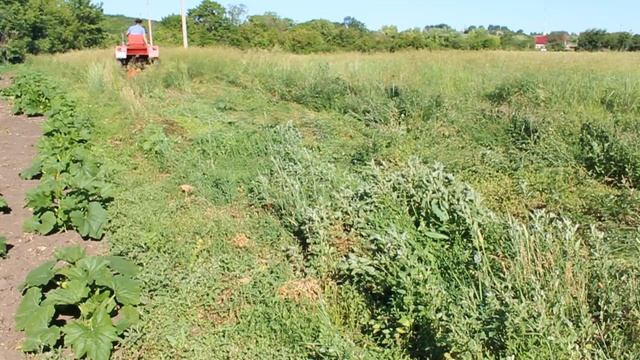 Трактор т 25 и Косилка КС-2.1 Сенокос (2021) смотреть онлайн