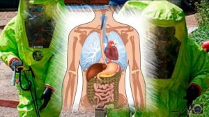 Полоний 210 токсичный яд убивает на 100%! Как отравили Литвиненко?