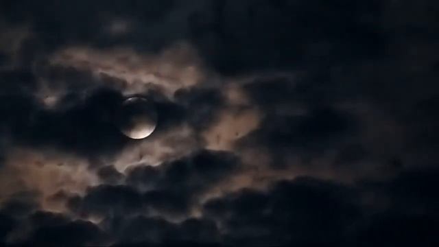 Очень душевный стих. "Тихо Звёзд мотыльки..." Есенинские мотивы в современной поэзии России. смотреть онлайн