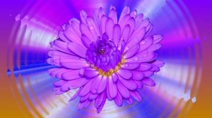 Футаж. Цветочный фон 126