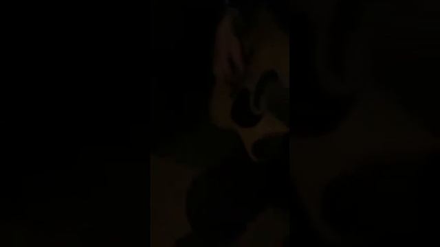 КиШ-воспоминания о былой любви.(с дня рождения) смотреть онлайн