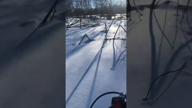 Койра с лыжным модулем