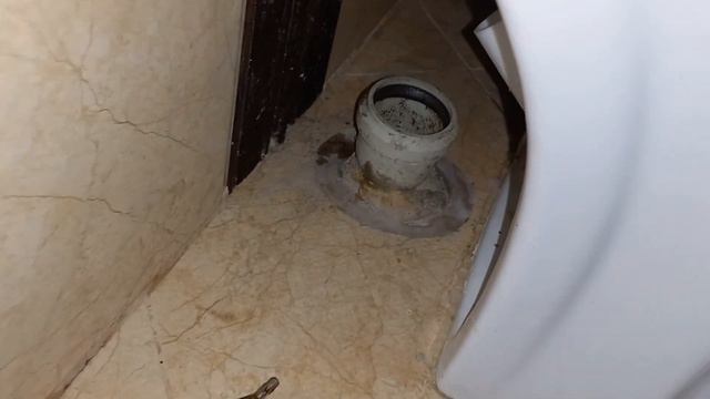 замена сифона на биде