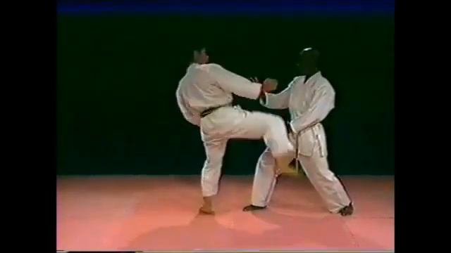 Shito-ryu Karate Technic смотреть онлайн