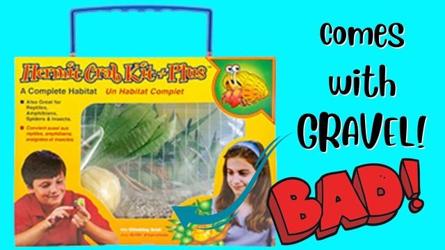 10 Things to NEVER Put in a Hermit Crab Tank for happier, healthier hermit crab pets! смотреть онлайн
