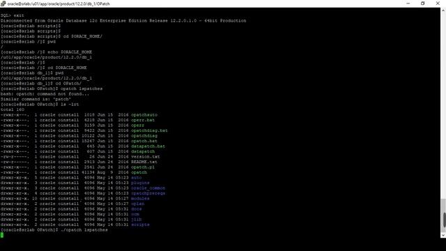 Oracle 19c | RDBMS Installation Step by Step on Oracle Linux 7.5 | Pre-requisites and configuration смотреть онлайн