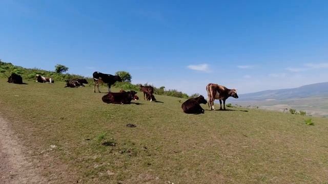 Uzbekistan, Горы Чимгана, Чарвакское водохранилище смотреть онлайн