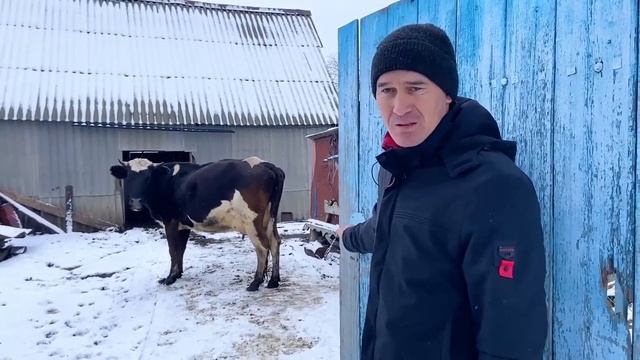 ноябрь 2020 года смотреть онлайн