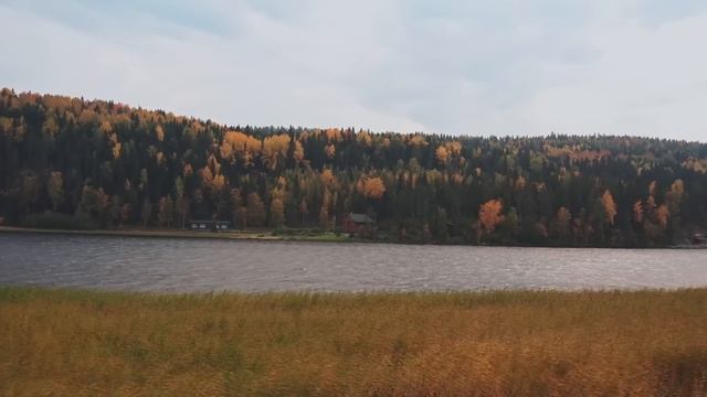 Мать бросила малышку одну в ледяной машине посреди тайги. Уже засыпая последним сном, малышка вдруг смотреть онлайн