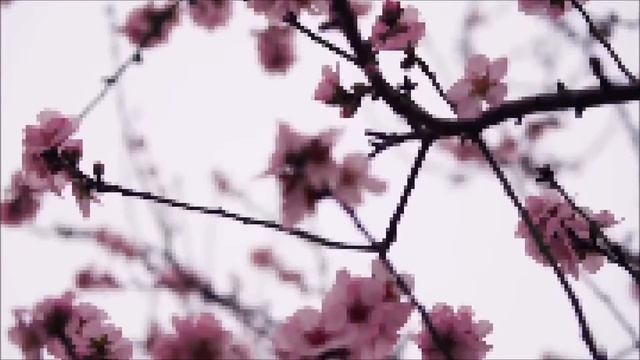 electric Unicycle dancing смотреть онлайн