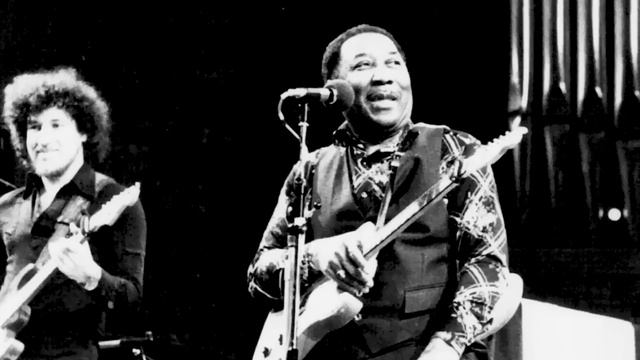 Blues Rock Hits Soul Country