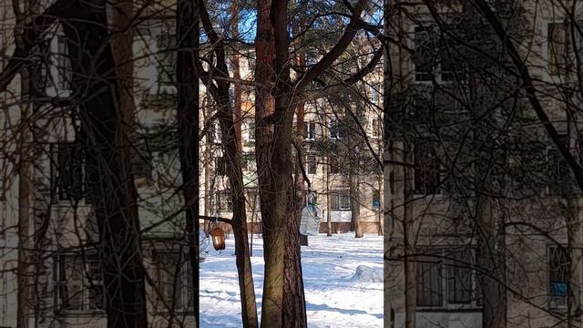Санкт-Петербург, калининский район смотреть онлайн