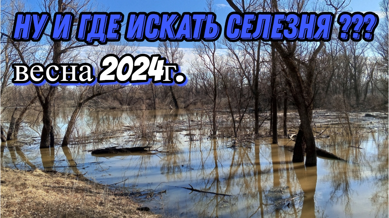 ПОИСК МЕСТ ПОД ЧУЧЕЛА !!! 16 апреля 2024г. Скоро открытие с чучелами на селезня ! смотреть онлайн