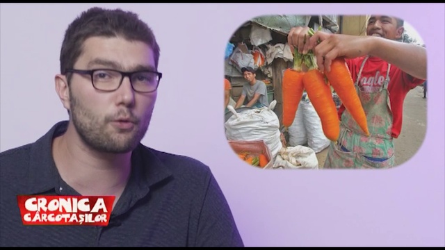 cateva lucruri interesante despre morcovi смотреть онлайн