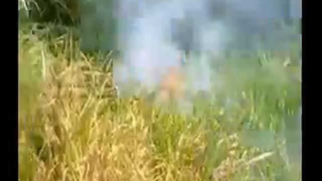 9/11 Controlled Demolitions of September 11, 2001 смотреть онлайн