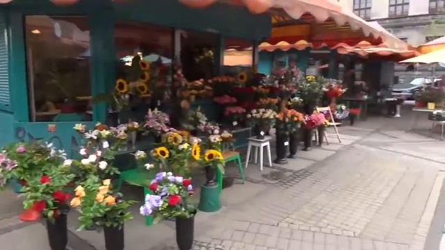 Вот какие цветочные магазины в Польше Floral Poland смотреть онлайн