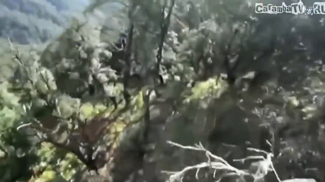 +100500 Пикник смотреть онлайн
