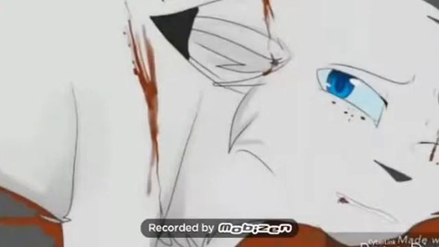 •°•Клип коты воители.Больше не будет больно и плохо•°• смотреть онлайн