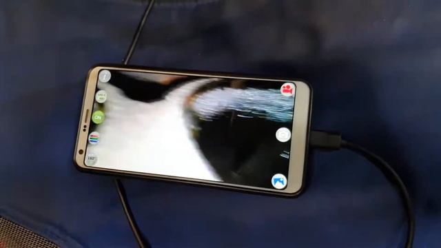 VW Golf GTI 2.0TSI CXCA 2016 Пробег 80К Диагностика Эндоскопия Неизбежность @ChistiyPorschen смотреть онлайн