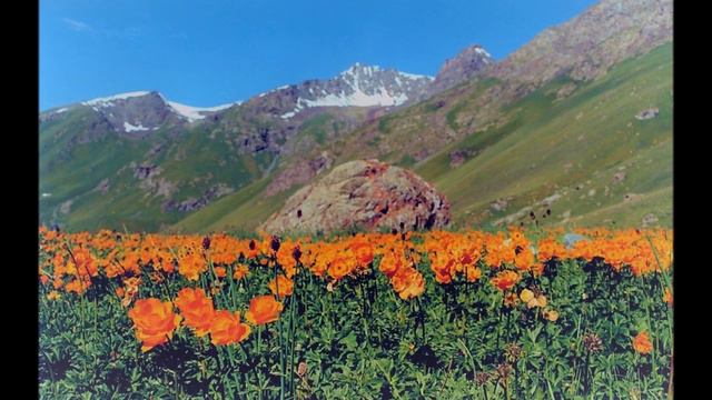 Горы далекие, горы туманные... (как молоды мы были...) Video By Sam Zilman